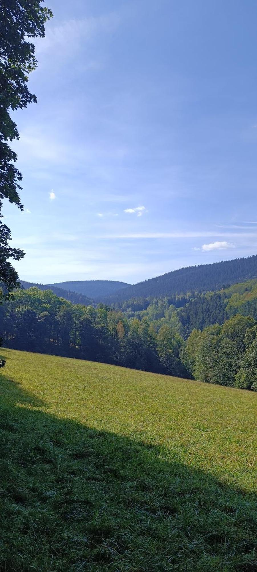 Appartement Bergzauber Scheibenberg Eksteriør billede