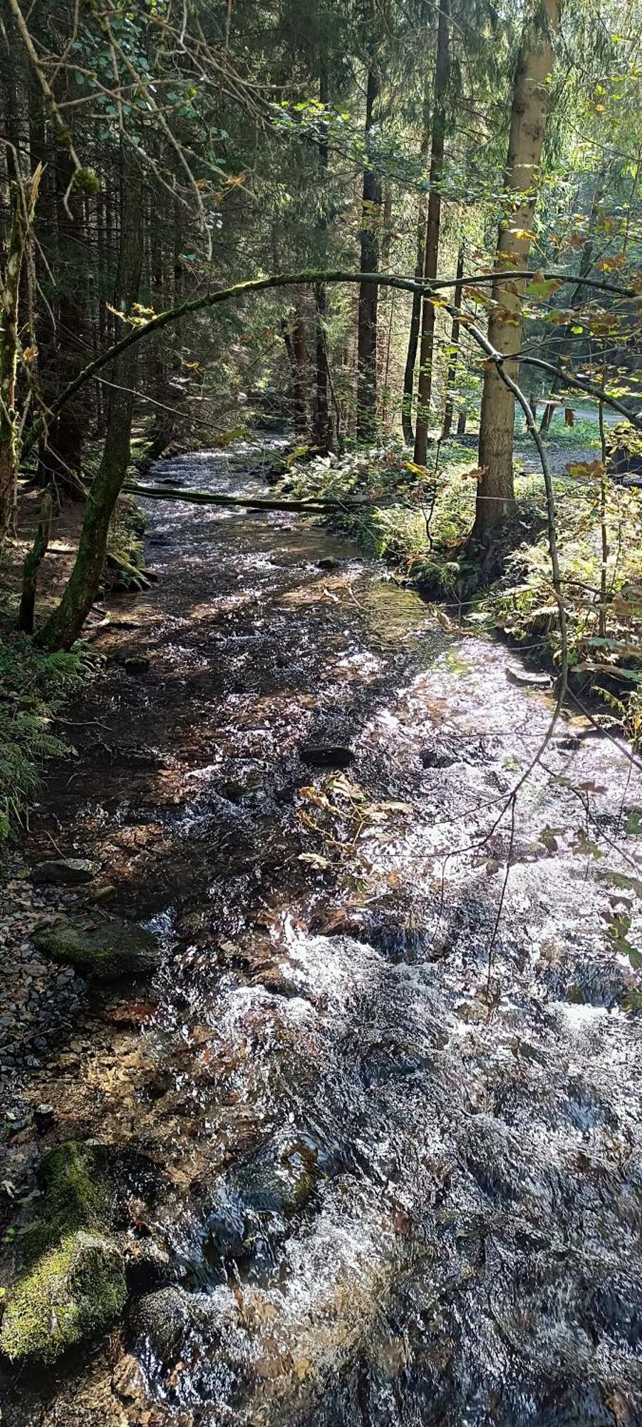 Appartement Bergzauber Scheibenberg Eksteriør billede